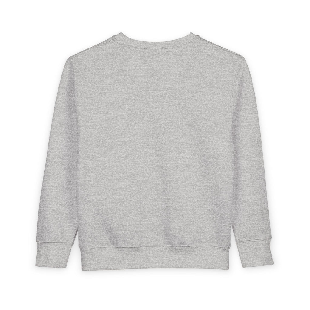 Child of God Toddler Sweatshirt - Christian Faith Kids Crewneck